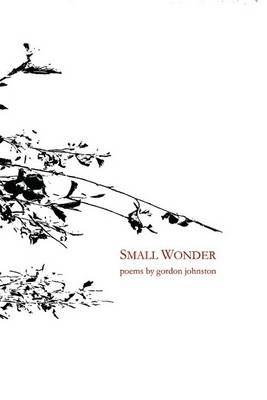 Book cover for Small Wonder