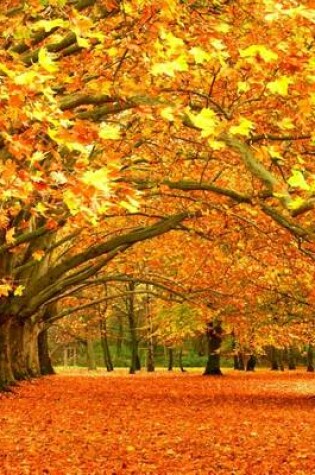 Cover of Jumbo Oversized Magnificent Fall Foliage in Croatia