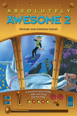 Book cover for Absolutely Awesome 2