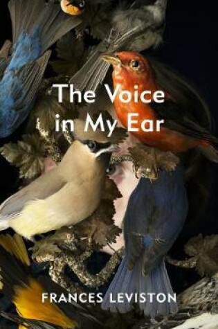 Cover of The Voice in My Ear
