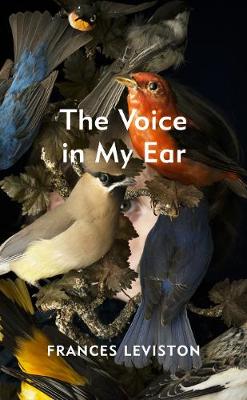 Book cover for The Voice in My Ear