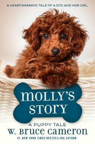 Cover of Molly's Story
