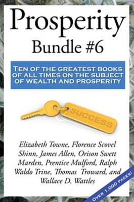 Book cover for Prosperity Bundle #6