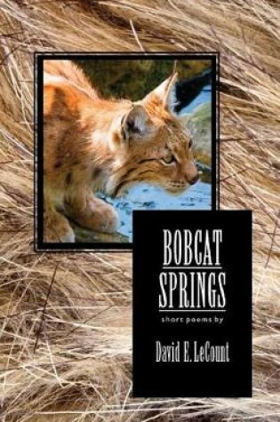 Cover of Bobcat Springs