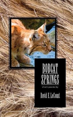Book cover for Bobcat Springs