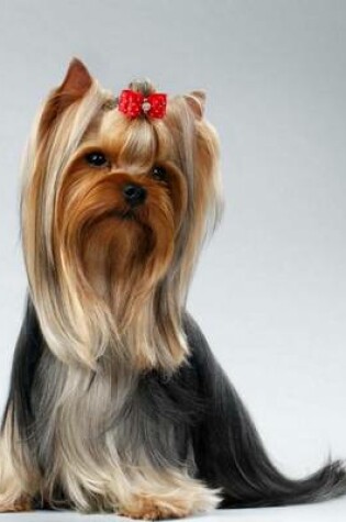 Cover of Yorkshire Terrier