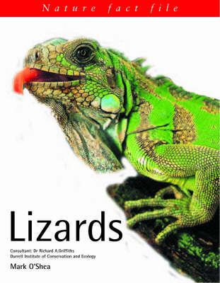 Cover of Lizards