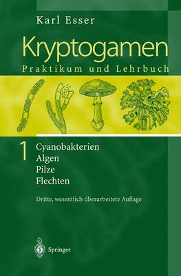 Book cover for Kryptogamen 1