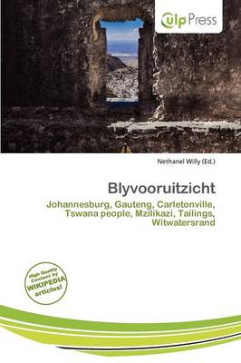 Cover of Blyvooruitzicht