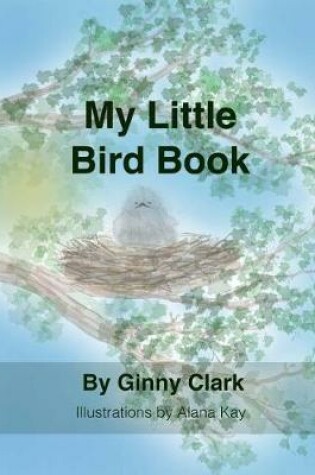 Cover of My Little Bird Book