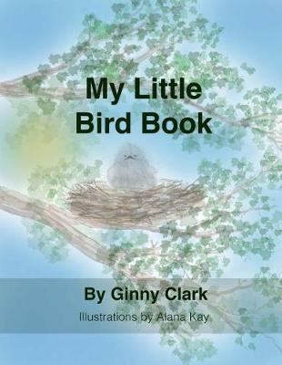 Book cover for My Little Bird Book