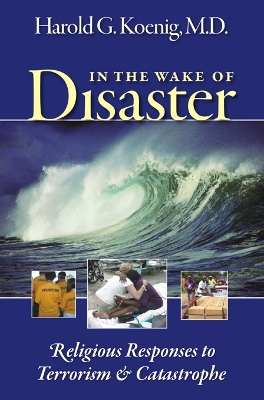 Book cover for In the Wake of Disaster