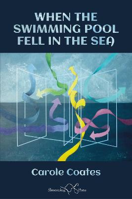 Book cover for When The Swimming Pool Fell In The Sea