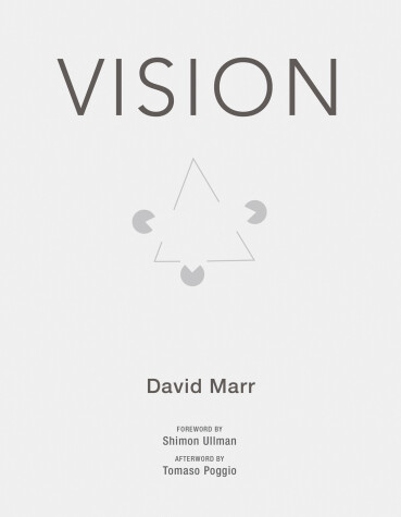 Book cover for Vision