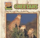 Book cover for Cheetahs