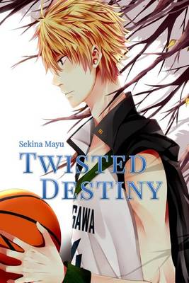 Book cover for Twisted Destiny