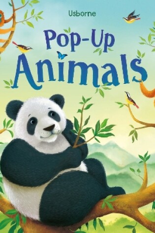 Cover of Pop-up Animals