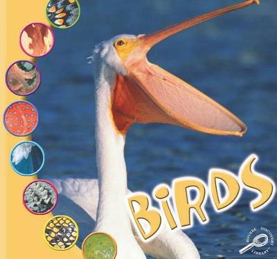 Cover of Birds