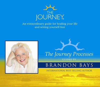 Book cover for The Journey Processes