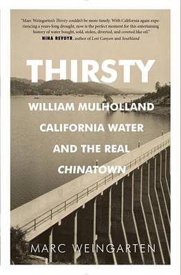 Book cover for Thirsty