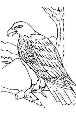 Cover of Bald Eagle Composition Notebook, Wide Ruled