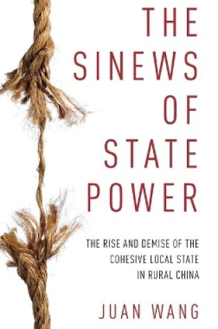 Cover of The Sinews of State Power