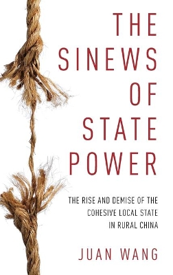 Cover of The Sinews of State Power