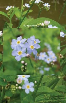 Cover of Forget-Me-Not