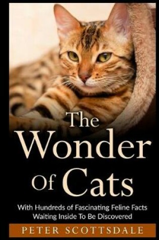 Cover of The Wonder Of Cats