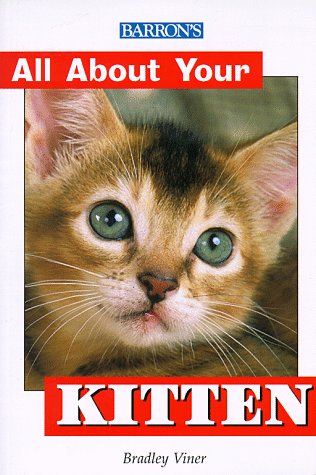 Book cover for Kitten