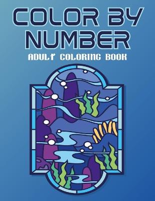 Book cover for Color By Number Adult Coloring Book