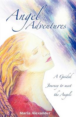 Book cover for Angel Adventures
