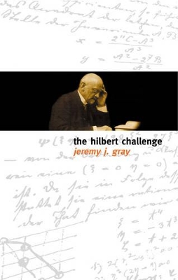 Book cover for The Hilbert Challenge