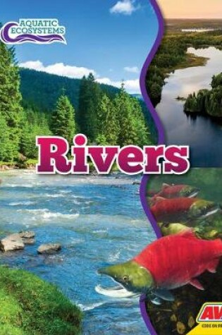 Cover of Rivers