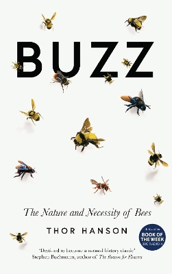 Book cover for Buzz