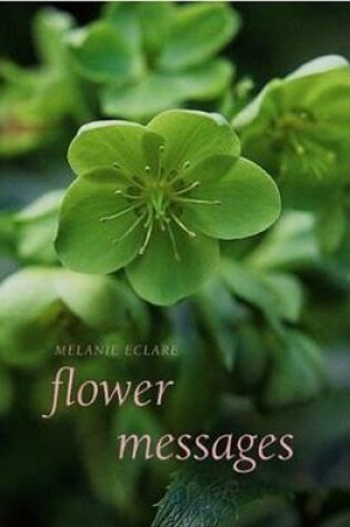 Cover of Flower Messages