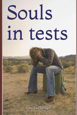 Book cover for Souls in tests