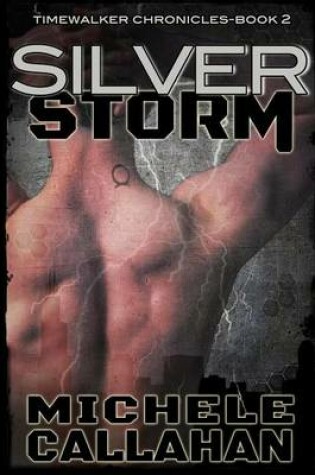 Cover of Silver Storm