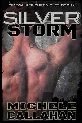 Book cover for Silver Storm