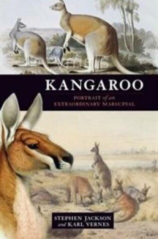 Cover of Kangaroo