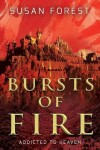 Book cover for Bursts of Fire