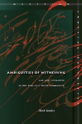 Cover of Ambiguities of Witnessing