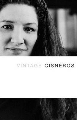 Book cover for Vintage Cisneros