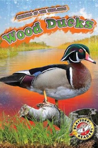 Cover of Wood Ducks