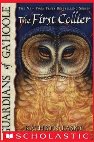 Cover of Guardians of Ga'hoole #9