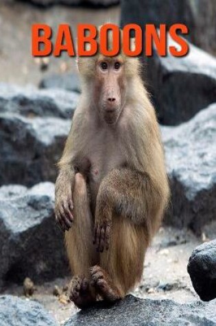 Cover of Baboons