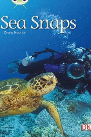 Cover of Bug Club Non-fiction Green A/1B Sea Snaps 6-pack
