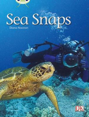 Book cover for Bug Club Non-fiction Green A/1B Sea Snaps 6-pack