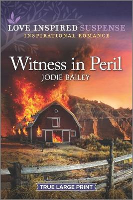 Book cover for Witness in Peril