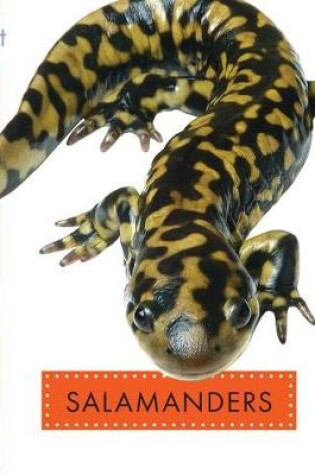 Cover of Salamanders